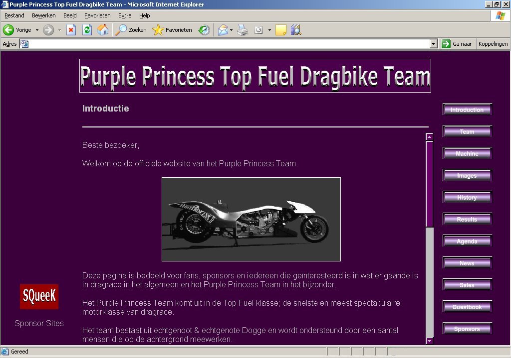 Website Purple Princess Top Fuel Dragbike Team
